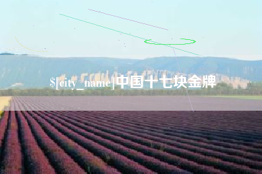 红河中国十七块金牌