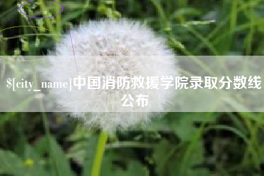 红河中国消防救援学院录取分数线公布