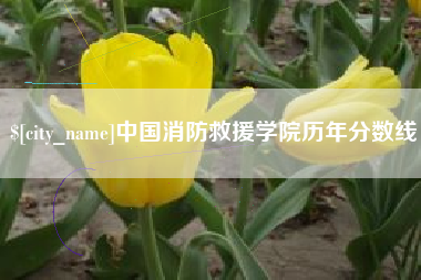 红河中国消防救援学院历年分数线