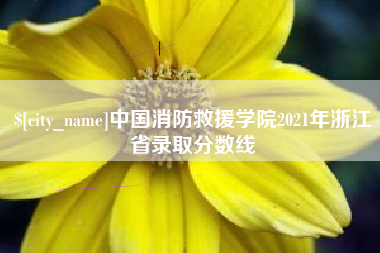 红河中国消防救援学院2021年浙江省录取分数线