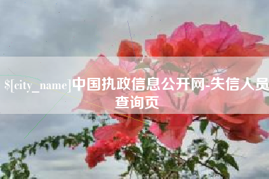 红河中国执政信息公开网-失信人员查询页