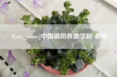 红河中国消防救援学院 老师