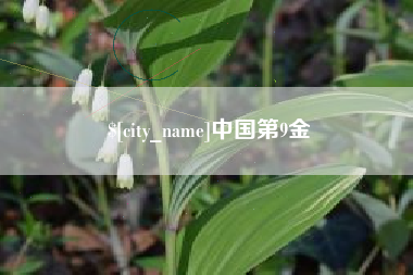 红河中国第9金