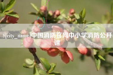 红河中国消防官网中小学消防公开课