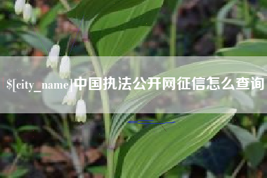 红河中国执法公开网征信怎么查询