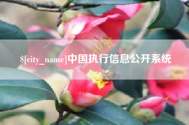 红河中国执行信息公开系统