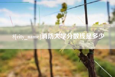 红河消防大学分数线是多少