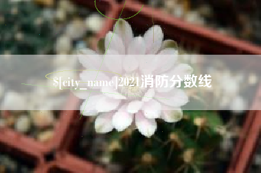 红河2021消防分数线