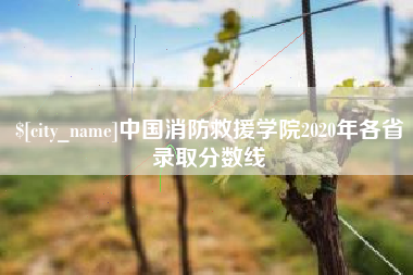 红河中国消防救援学院2020年各省录取分数线