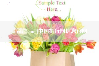 红河中国执行网信息官网