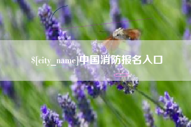 红河中国消防报名入口