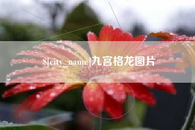 红河九宫格龙图片