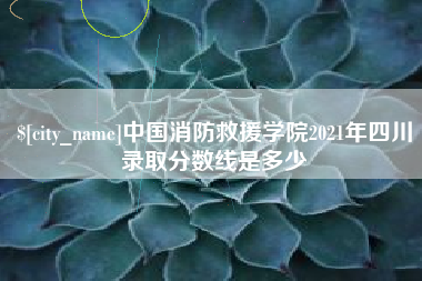 红河中国消防救援学院2021年四川录取分数线是多少