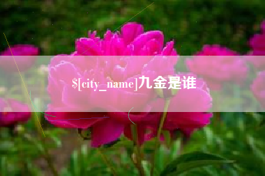 红河九金是谁