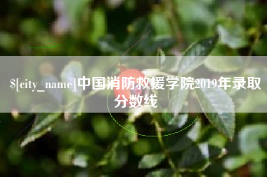 红河中国消防救援学院2019年录取分数线