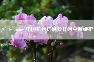 红河中国执行信息公开网平台维护