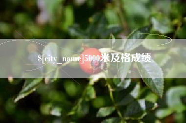红河5000米及格成绩