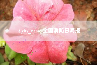 红河全国消防日海报