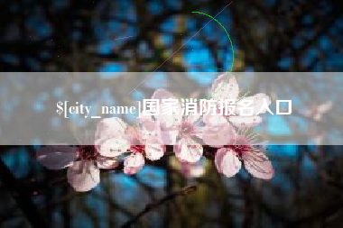 红河国家消防报名入口