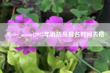 红河2025年消防员报名时间表格