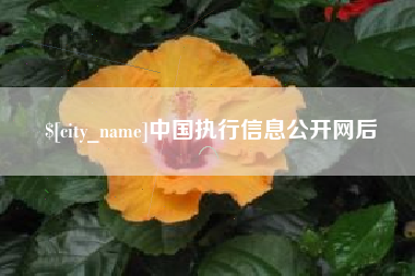 红河中国执行信息公开网后