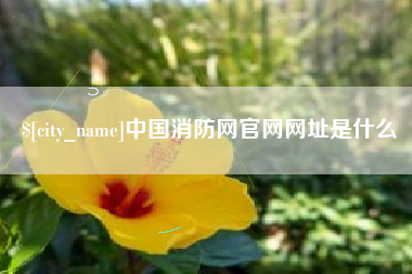 红河中国消防网官网网址是什么