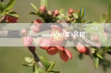 红河2021年9宫格