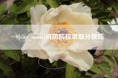 红河消防院校录取分数线