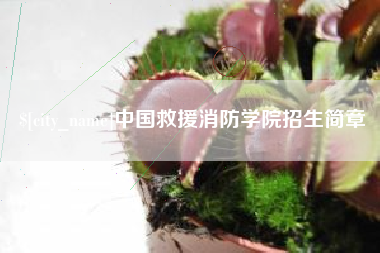 红河中国救援消防学院招生简章