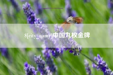 红河中国九枚金牌