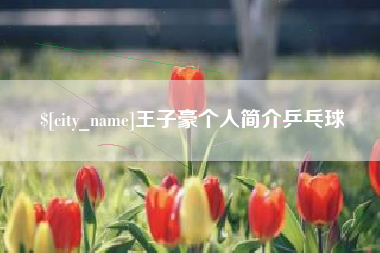 红河王子豪个人简介乒乓球
