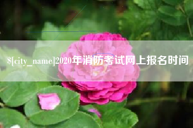 红河2020年消防考试网上报名时间