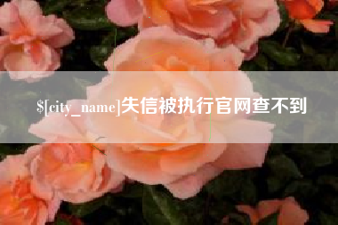 红河失信被执行官网查不到