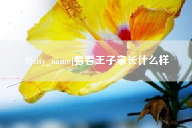 红河看看王子豪长什么样