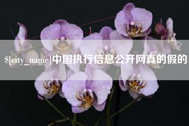 红河中国执行信息公开网真的假的