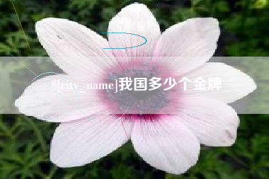 红河我国多少个金牌