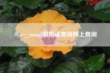 红河消防证查询网上查询