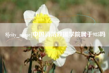 红河中国消防救援学院属于985吗