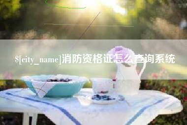 红河消防资格证怎么查询系统