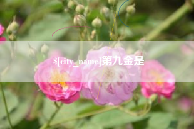红河第九金是