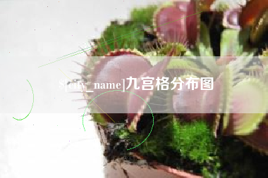 红河九宫格分布图
