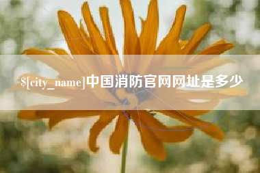 红河中国消防官网网址是多少