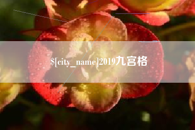 红河2019九宫格