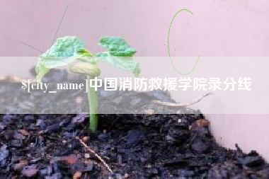 红河中国消防救援学院录分线