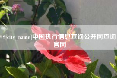 红河中国执行信息查询公开网查询官网