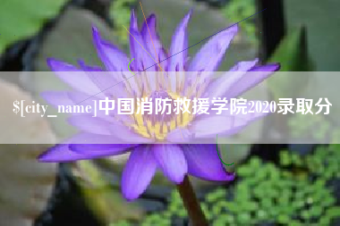 红河中国消防救援学院2020录取分