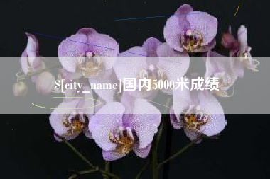 红河国内5000米成绩