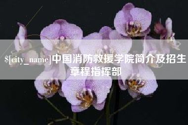 红河中国消防救援学院简介及招生章程指挥部