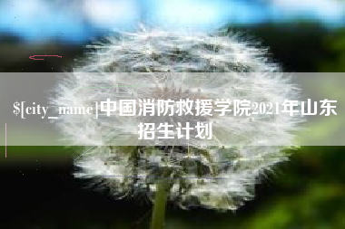 红河中国消防救援学院2021年山东招生计划