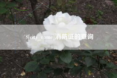 红河消防证的查询